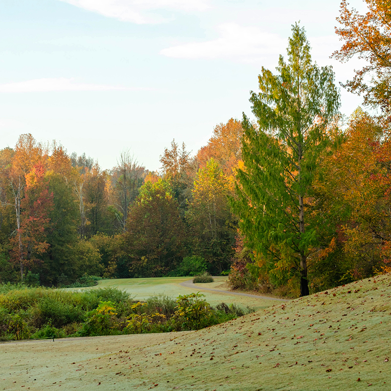 Autumn landscape in Summerfield, North Carolina